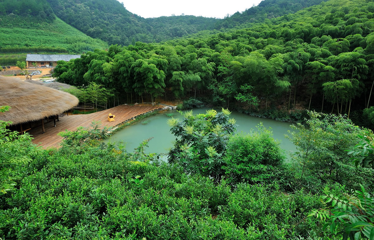 西黄山民宿--高端餐厅